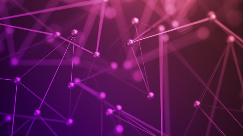 Purple network image