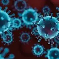 Living mapping and living systematic review of Covid-19 studies