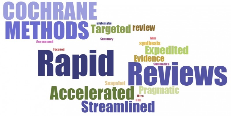 rapid literature review protocol