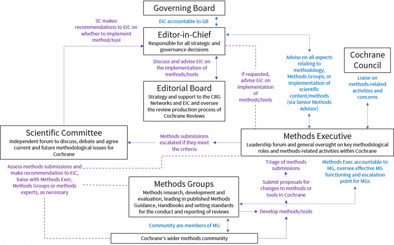 Cochrane Methods Report 2019 | Cochrane Methods